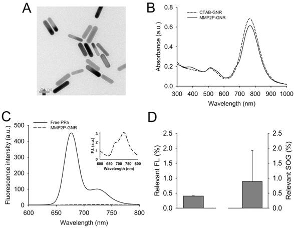 Theranostics Image