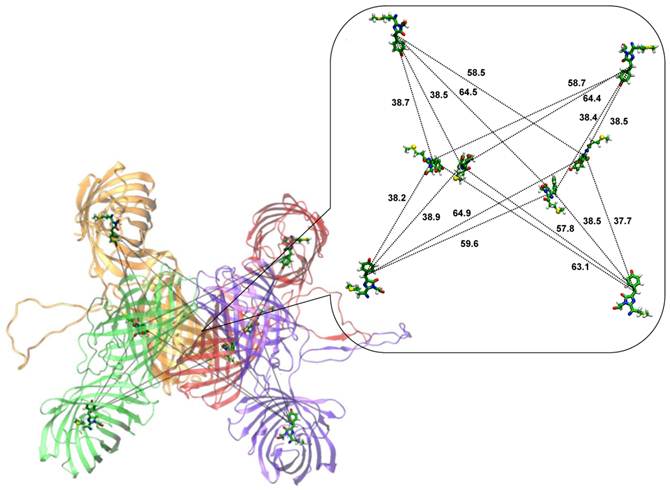 Theranostics Image