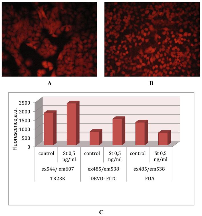 Theranostics Image