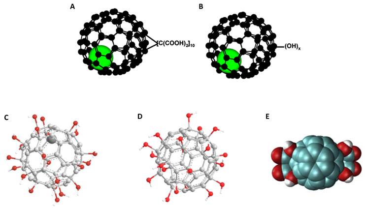 Theranostics Image