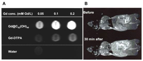 Theranostics Image