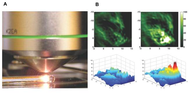 Theranostics Image