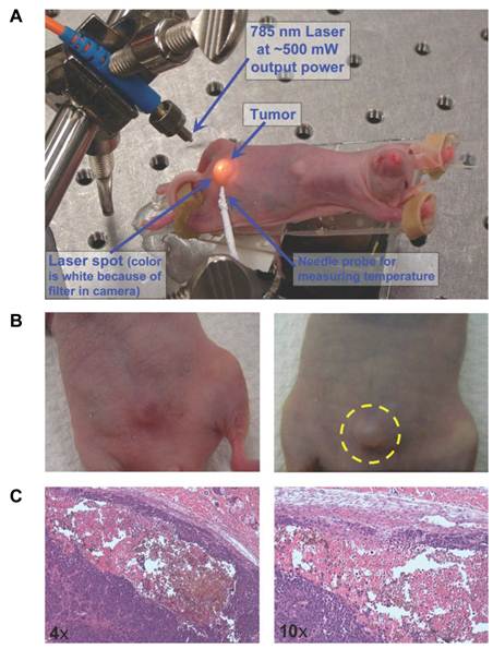 Theranostics Image