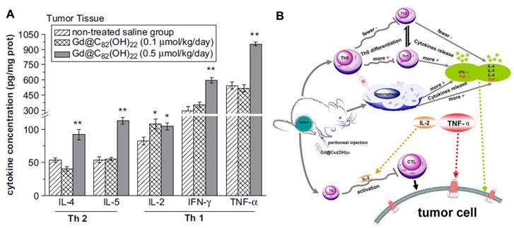 Theranostics Image