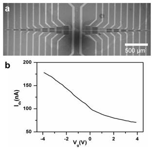 Theranostics Image