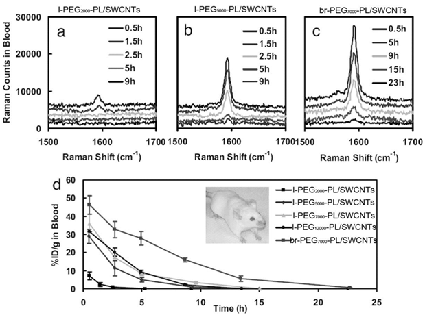 Theranostics Image