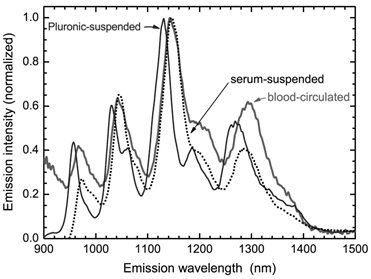 Theranostics Image