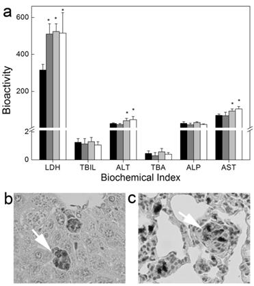 Theranostics Image