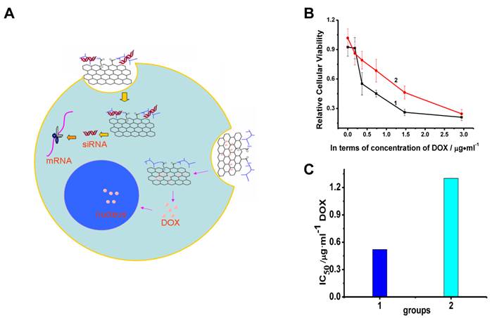 Theranostics Image