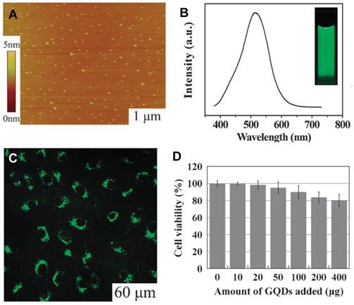 Theranostics Image