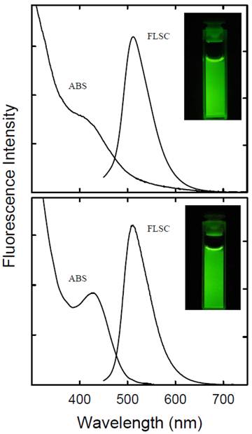 Theranostics Image