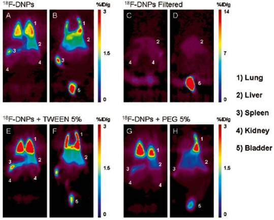 Theranostics Image