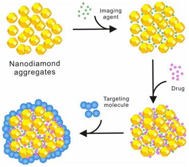 Theranostics Image