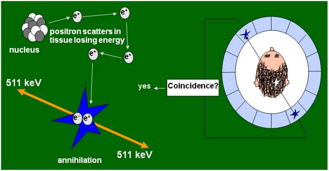 Theranostics Image