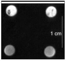 Theranostics Image