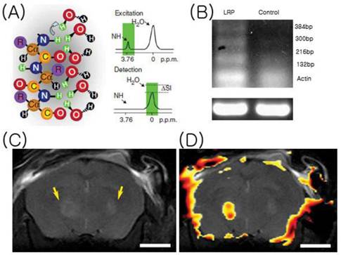 Theranostics Image