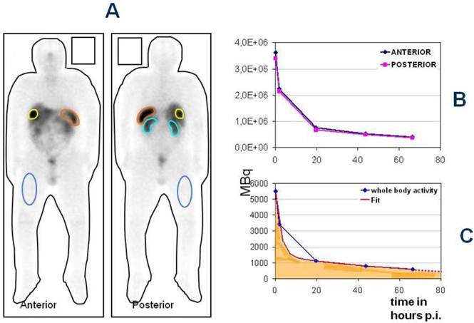 Theranostics Image