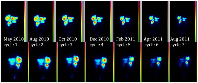 Theranostics Image