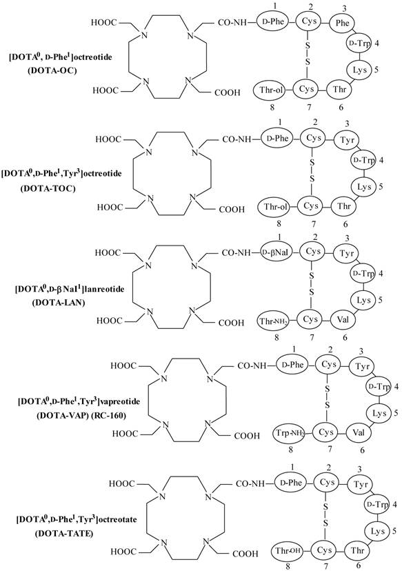 Theranostics Image