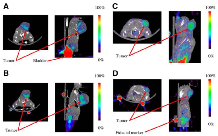 Theranostics Image