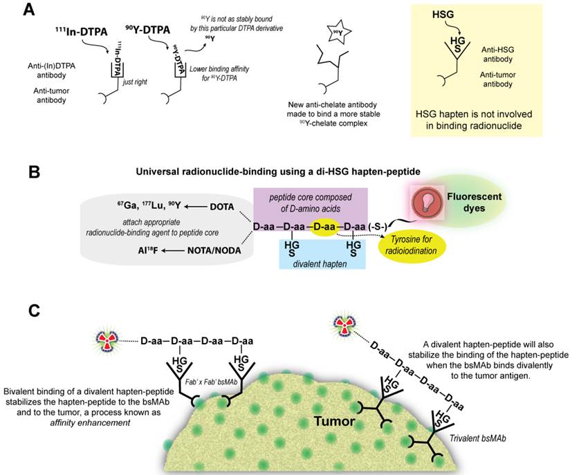 Theranostics Image