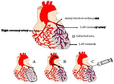 Theranostics Image