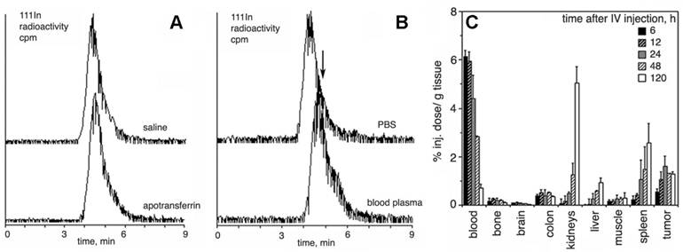 Theranostics Image