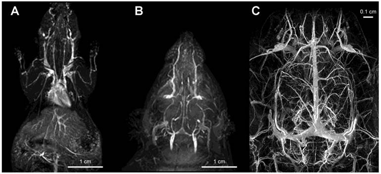 Theranostics Image