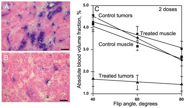 Theranostics Image