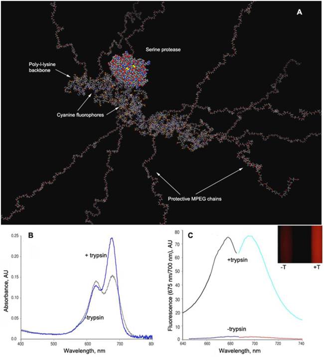 Theranostics Image