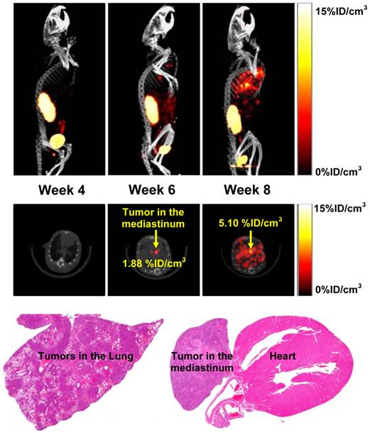 Theranostics Image