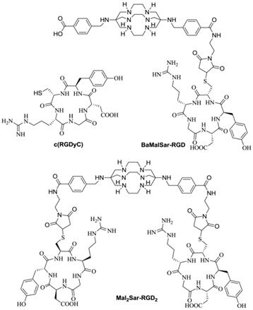 Theranostics Image