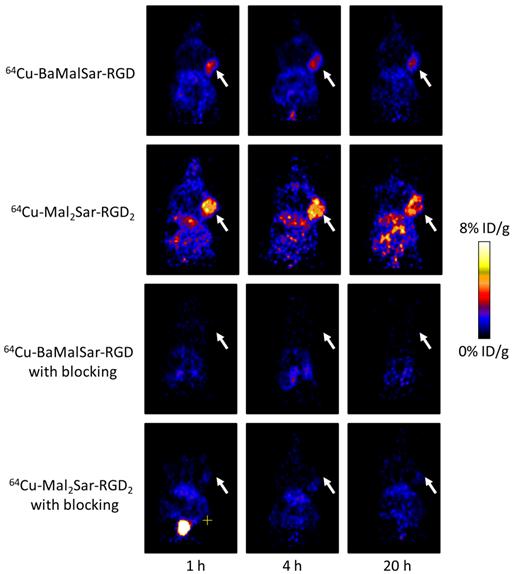 Theranostics Image