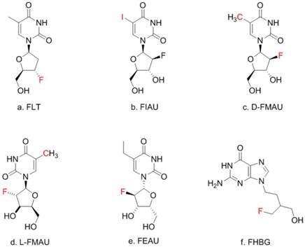 Theranostics Image