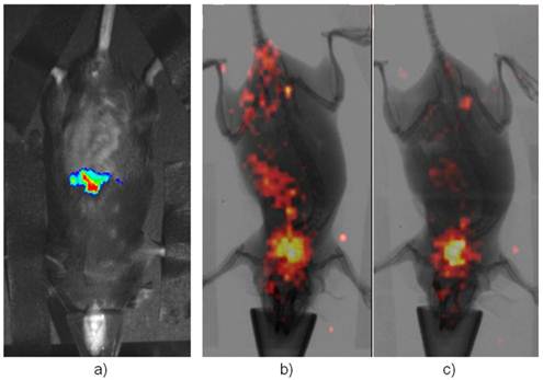 Theranostics Image