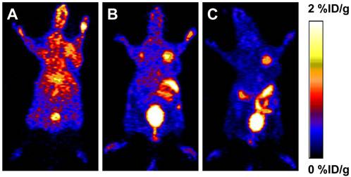 Theranostics Image