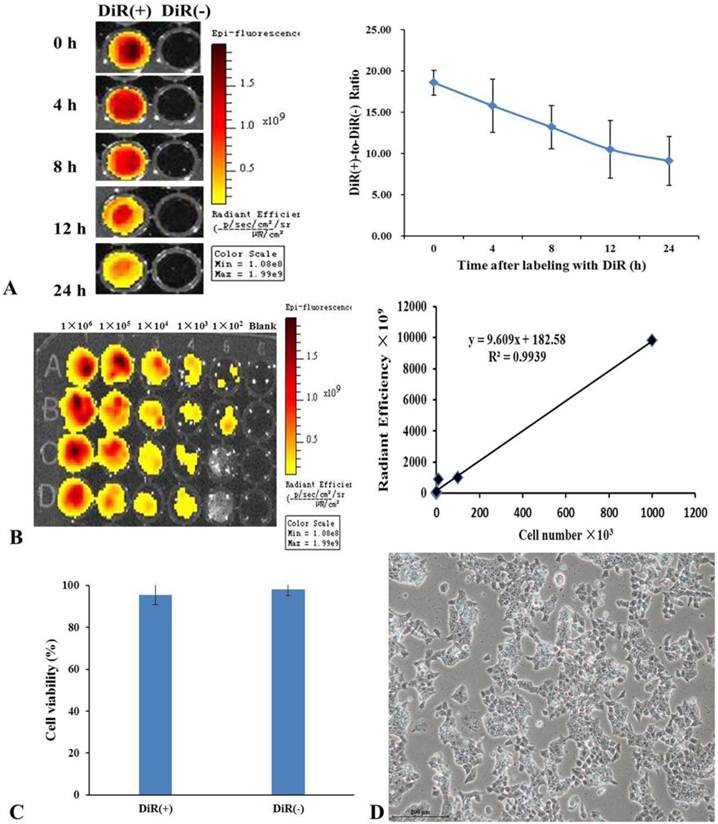 Theranostics Image