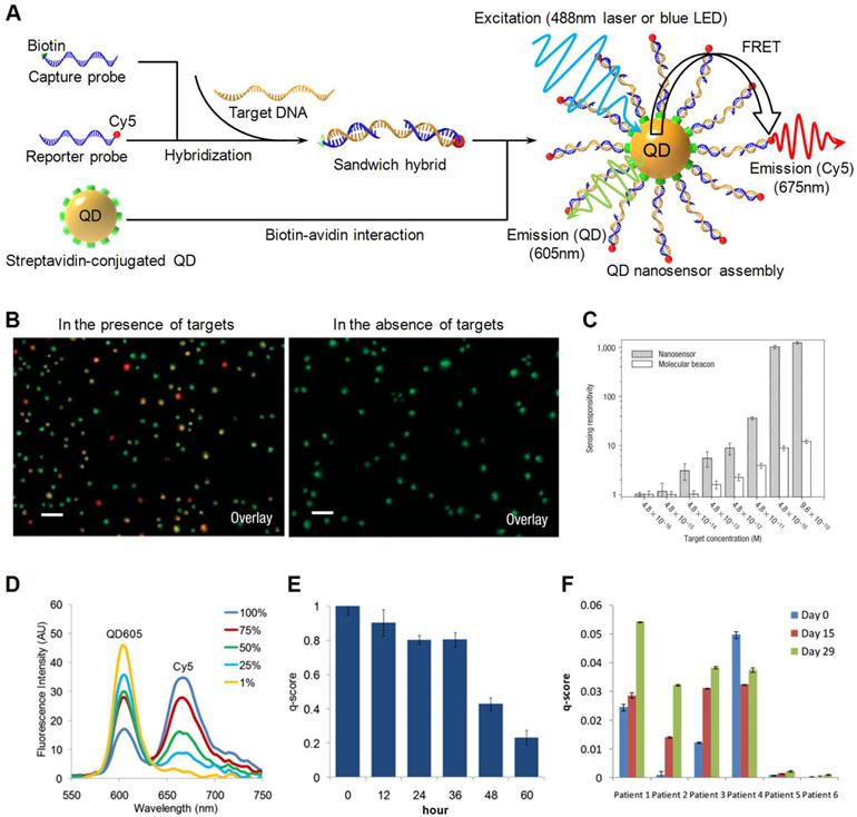 Theranostics Image