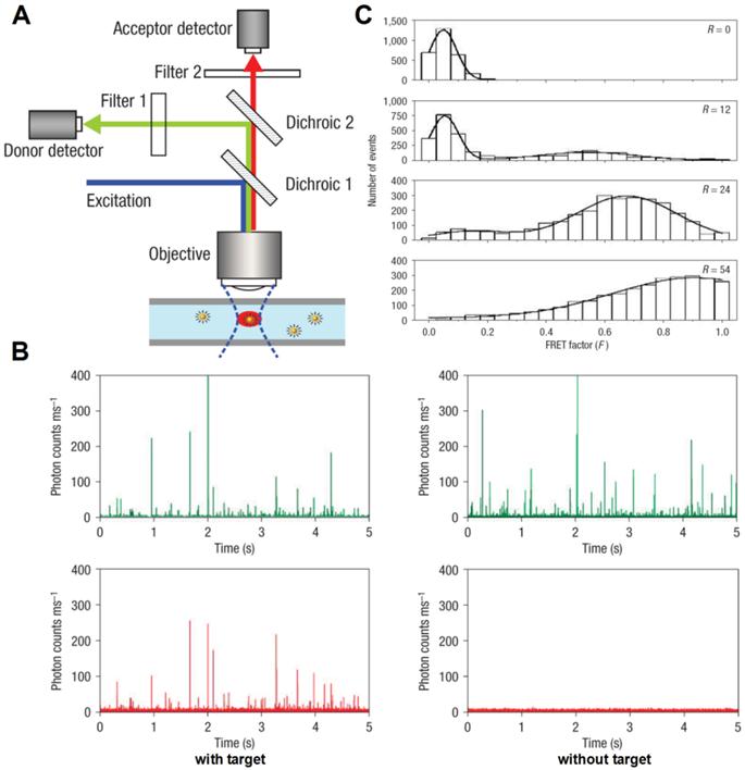 Theranostics Image