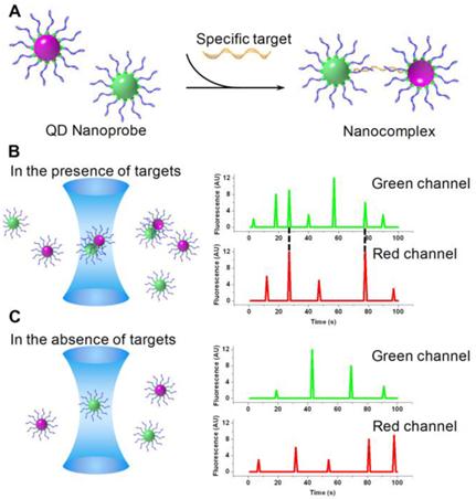 Theranostics Image