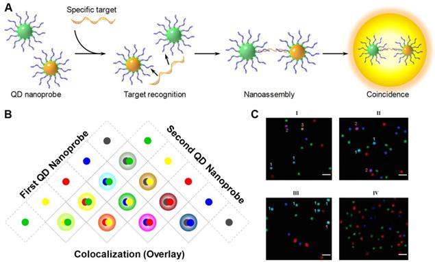 Theranostics Image