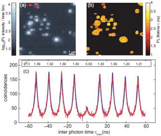 Theranostics Image