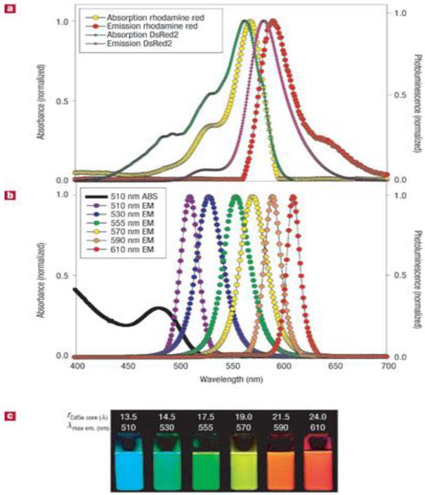 Theranostics Image