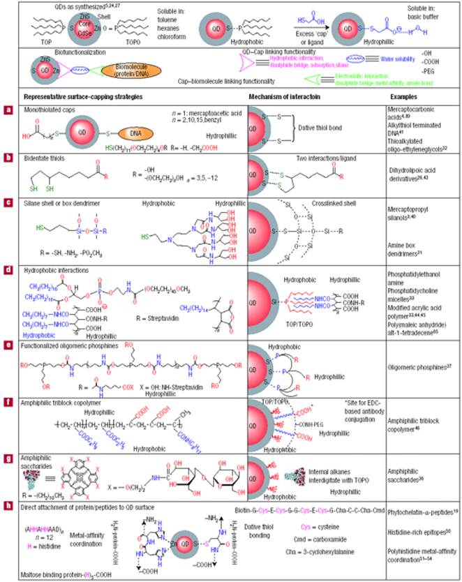 Theranostics Image