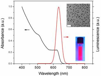 Theranostics Image