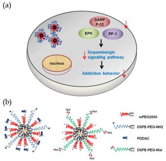 Theranostics Image