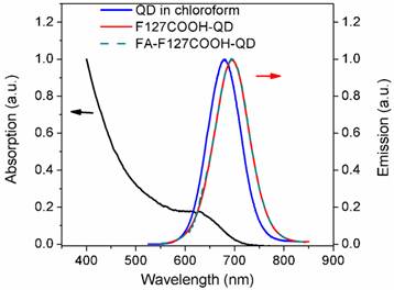 Theranostics Image