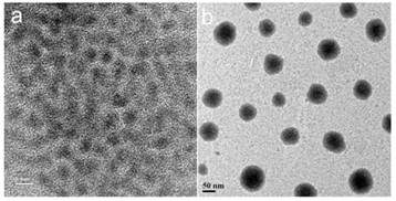 Theranostics Image