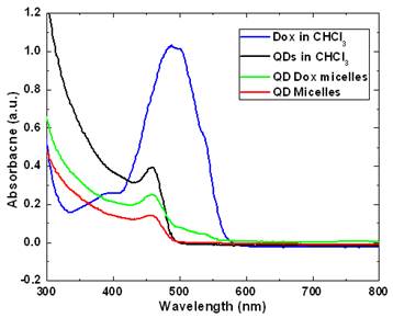 Theranostics Image