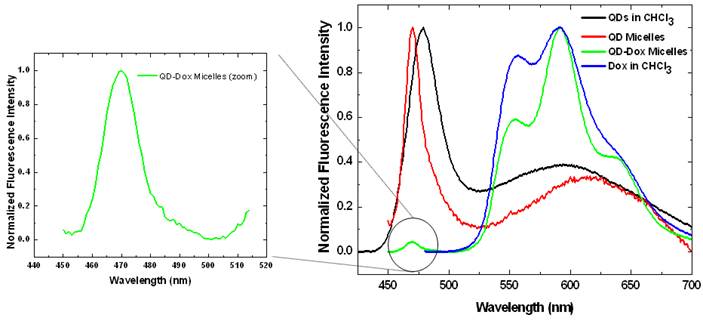 Theranostics Image